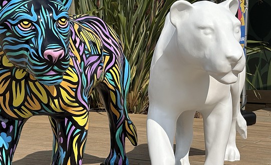 Sheffield Children’s Hospital Charity launches South Yorkshire-wide sculpture trail to celebrate 150 years
