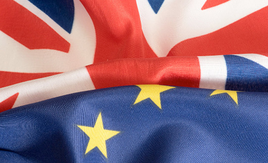 SME Brexit Support Fund is open for applications