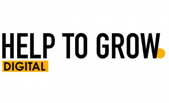Take your business to the next level with Help to Grow
