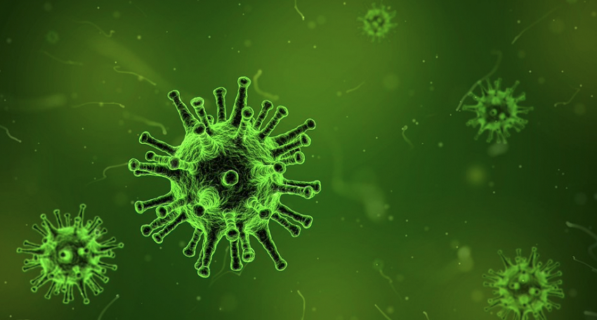 Corona Virus