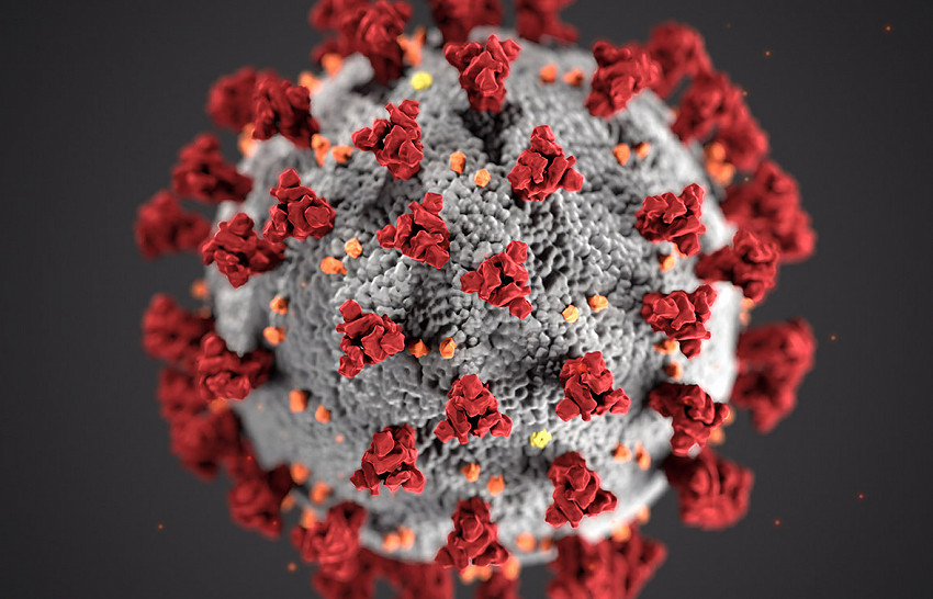 Coronavirus SARS