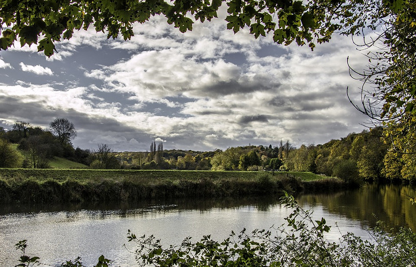 Image of lake and greenery in Doncaster