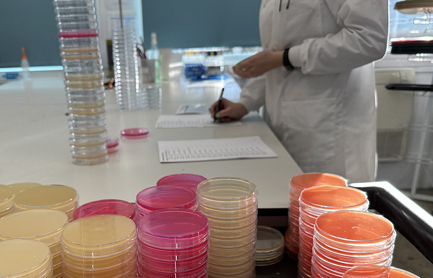 Foodtest Laboratories