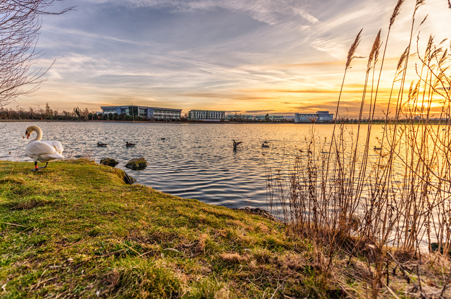 Lakeside