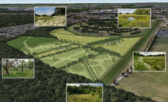Nature Recovery Site Moves One-step Closer in the Middle of Doncaster’s ‘Green Heart’