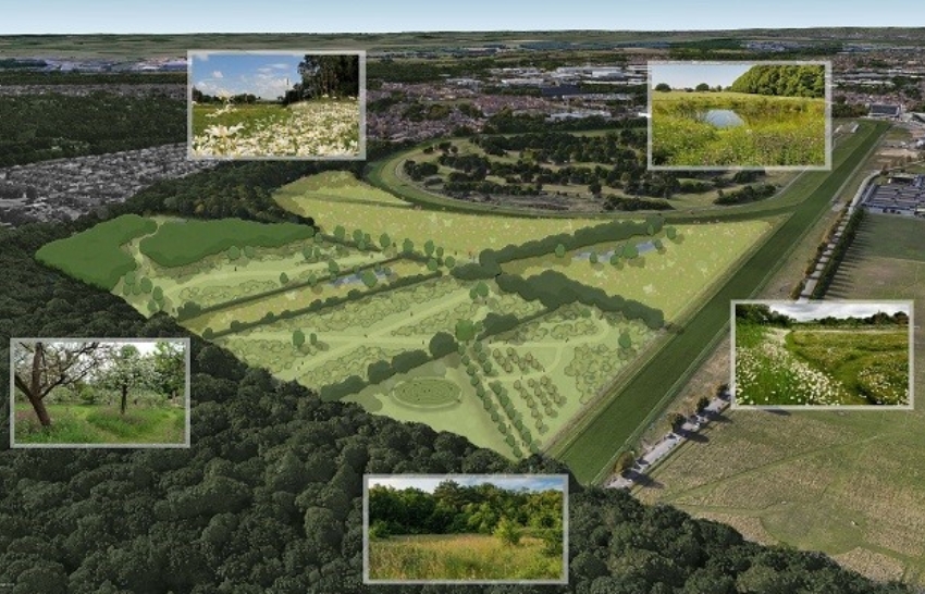 Nature Recovery Site Doncaster