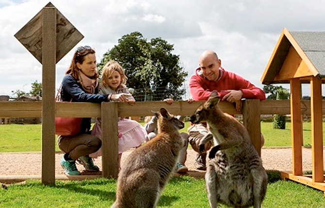 Yorkshire Wildlife Park