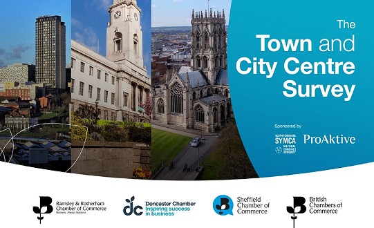 Local businesses list cleanliness, safety and retail as their top priorities for improvement