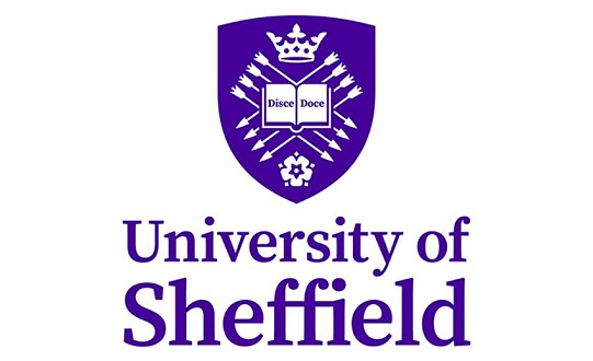 CLEAR IDEAS' Creativity & Innovation Skills Training Workshop