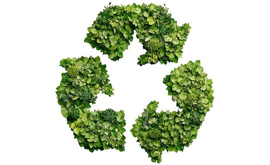 Sustainable solutions secure award win for DFS