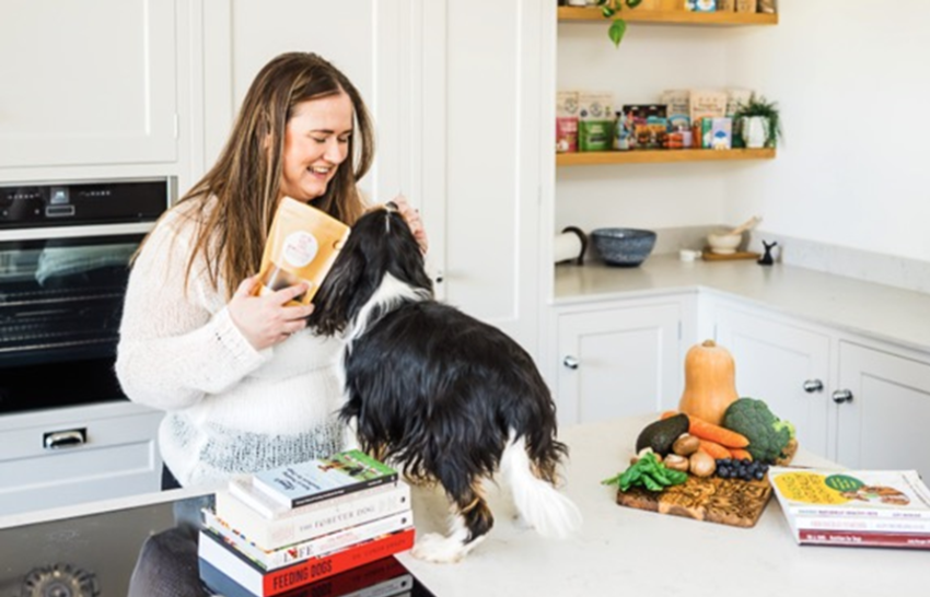 Embark Pet Services