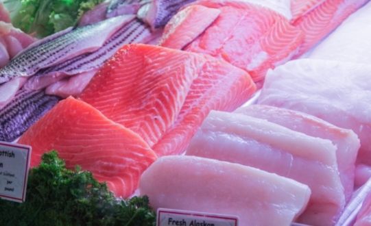Doncaster Fishmonger gives catering students unrivaled experience