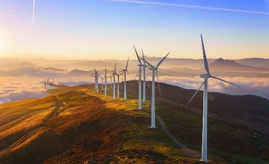 Business Matter: making net zero a reality by 2040 in South Yorkshire