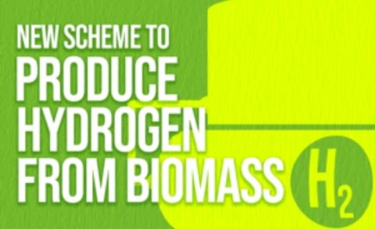 Government launches new scheme for technologies producing hydrogen from biomass