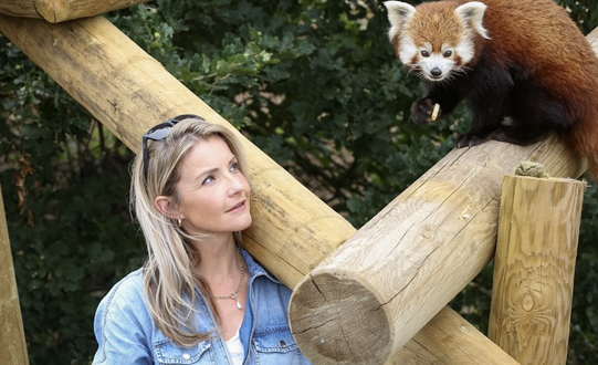 Multimillion-Pound Investment for Yorkshire Attraction