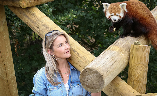 Solid results for Yorkshire Wildlife Park despite COVID impact
